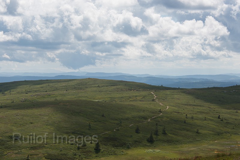 DSC_0409.jpg