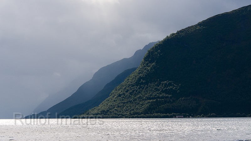 DSC_0726.jpg