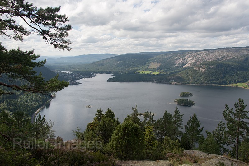 DSC_1043.jpg