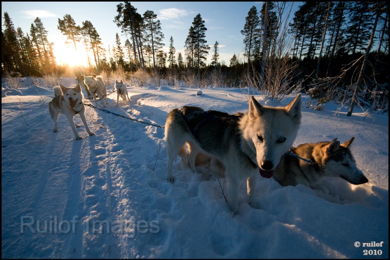 Lapland-Tocht2.jpg