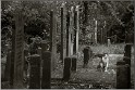 Algemene begraafplaats_6353